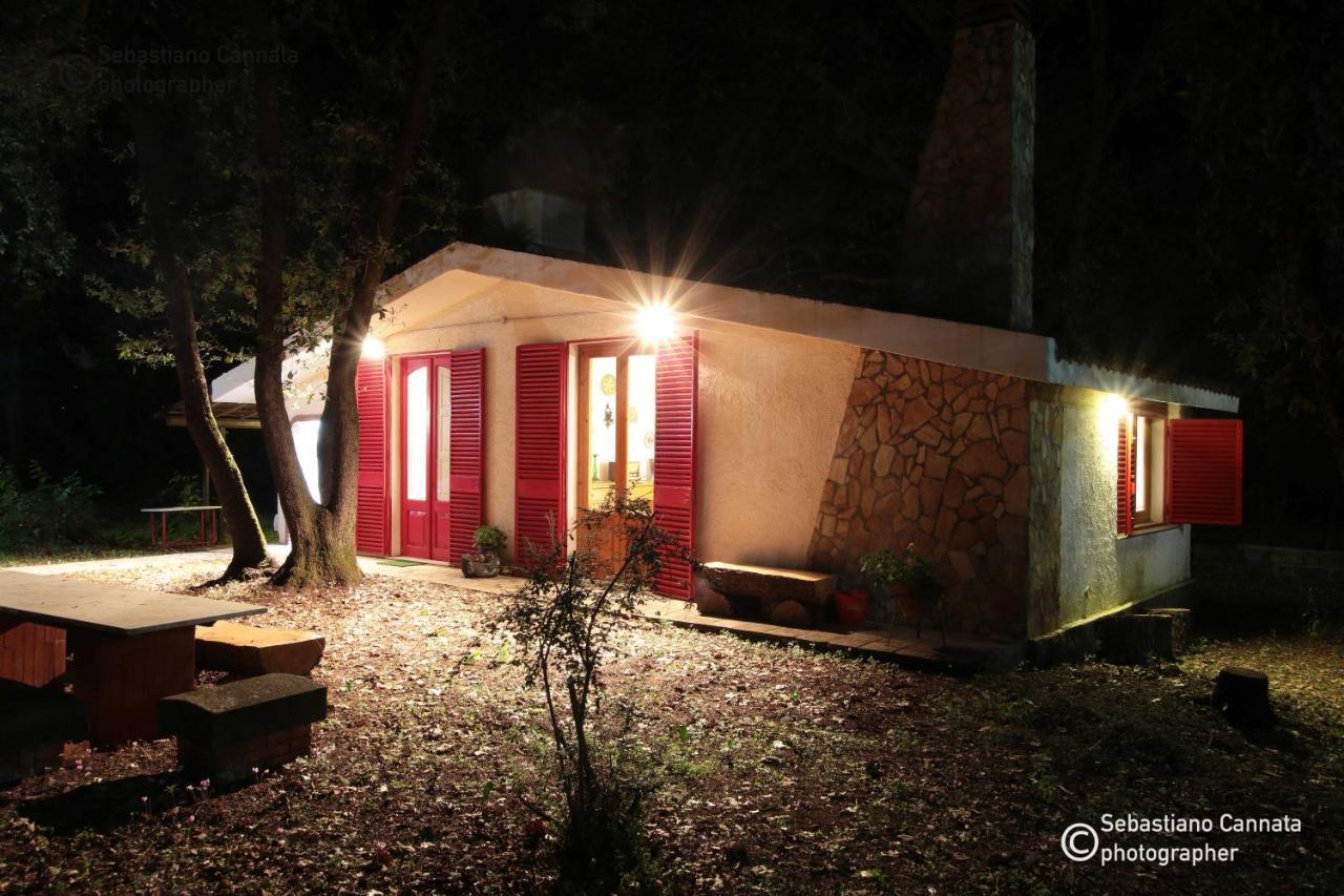 Ferienhaus Fini *
